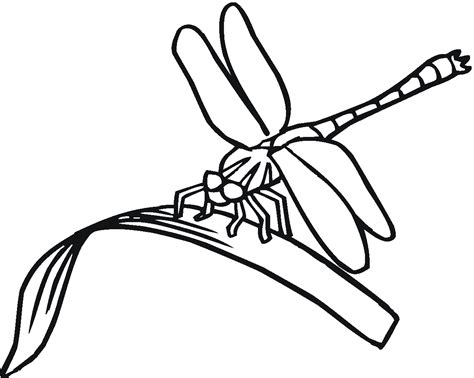 Coloring pages are fun for children of all ages and are a great educational tool that helps children develop fine motor skills, creativity and color recognition! Free Printable Dragonfly Coloring Pages For Kids