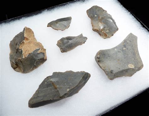 Linear Pottery Culture European Neolithic Stone Tools Flint Artifacts