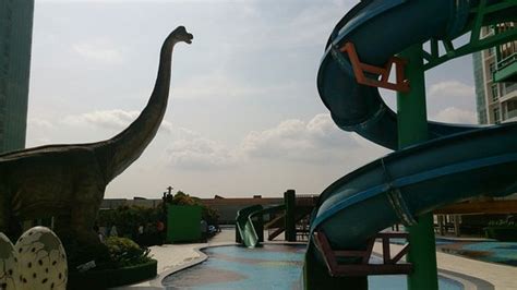 Austin height water park is located in taman mount austin, tebrau, johor bahru and it will immerse you with its exotic tropical theme. Waterpark - Picture of "Dinosaurs Alive" Water Theme Park ...