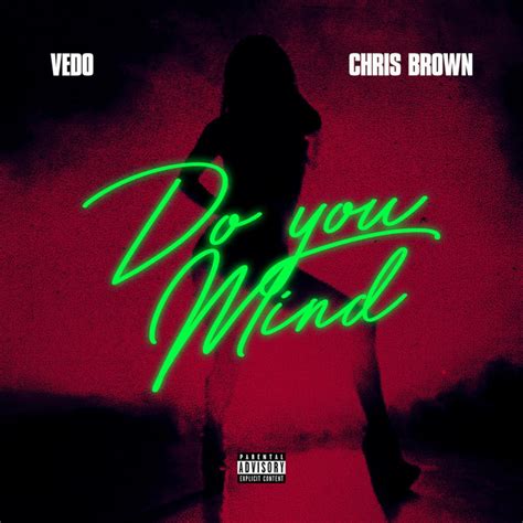 Do You Mind Single By Vedo Spotify