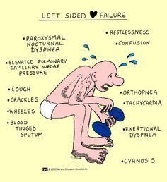 Endocrine system Kids Nursing schools Endocrine system Childrens health