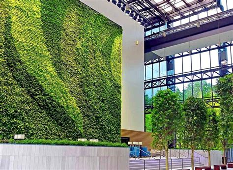 The Global Impact Of Biophilic Design In The Workplace