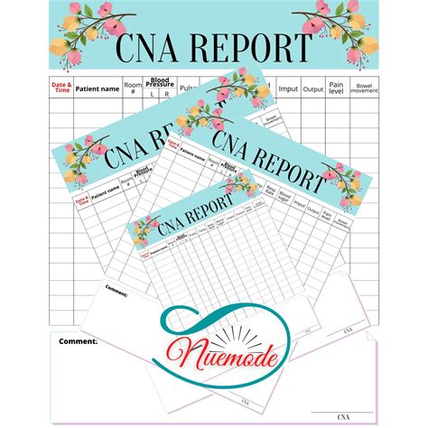 Cna Care Report Sheet Etsy