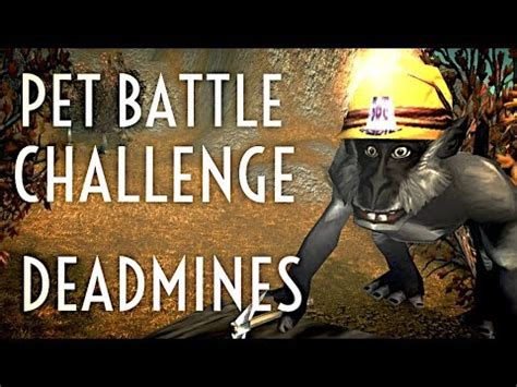 Check out my complete guide for everything you need to. WoW Guide - Pet Battle Challenge Dungeon - Deadmines - 7.2.5 - YouTube