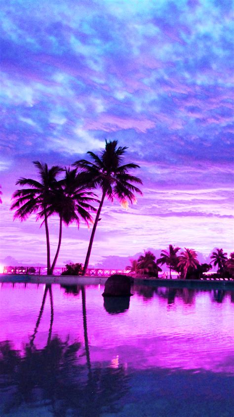 A collection of the top 71 aesthetic computer wallpapers and backgrounds available for download for free. Sunset Pink Aesthetic Palm Landscape Wallpaper ~ Fisoloji