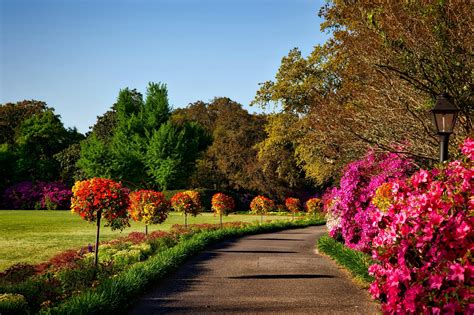 1000 Amazing Flower Garden Photos · Pexels · Free Stock Photos