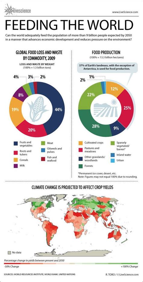 Can The World Feed 11 Billion People Infographic Food Security