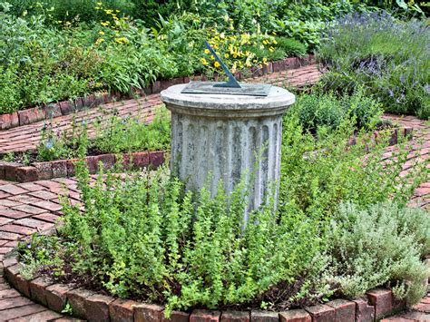 Growing A Culinary Herb Garden
