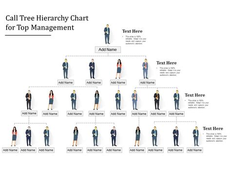 Call Tree Hierarchy Chart For Top Management Powerpoint Slides