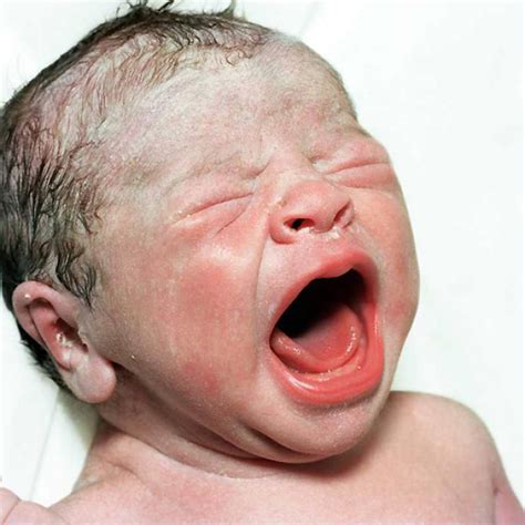 Marca 2018 caliente peluche juguetes bebé recién nacido. Signos físicos normales del recién nacido | Ole Bebé