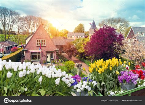 paisaje holandés tradicional de Holanda con un típico molino de viento
