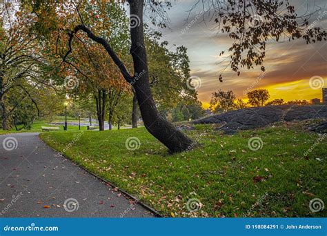 Autumn In Central Park Stock Image Image Of Island 198084291
