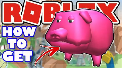 Event How To Get Gurt Shoulder Pet Roblox Summer Tournament Event