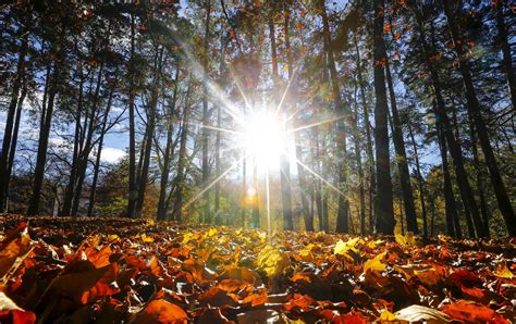 Fotos De Otoño Que Te Convencerán De Que Es La Estación Más Bonita Del Año