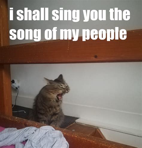 I shall sing you the song of my people : meme