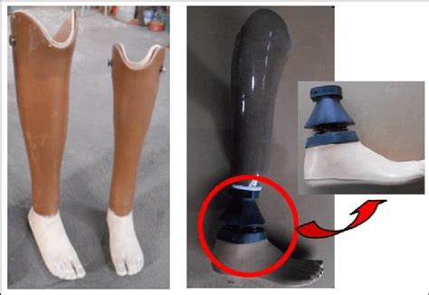 The Prosthetic Foot Below Knee Exoskeletal Prosthetic Foot Without