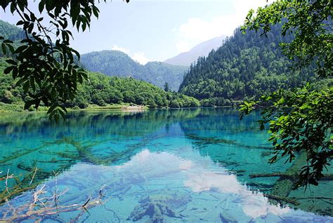 Beautiful Clear Lake Water Jiuzhaigou Clear China Bonito Lake