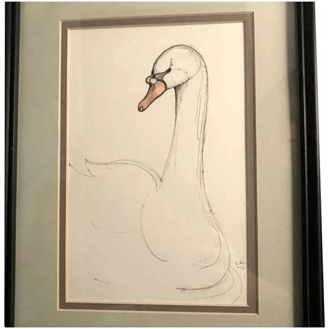 Original White Swan Pencil Drawing Signed And Framed Pencil Drawings