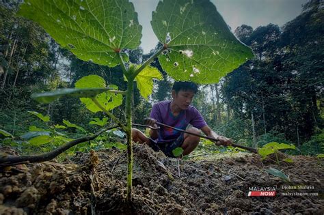 Perbadanan Biodiversiti Tasik Chini Perlu Libatkan Kami Kata Orang