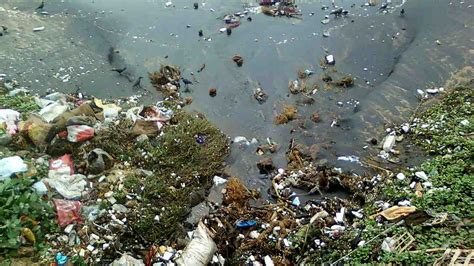 Ocean Pollution Is A Mix Of Plastic Chemicals Toxic Metals And Is A