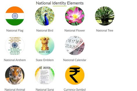National Symbols Of India List Of National Symbols And Its Significance Lacienciadelcafe Com Ar