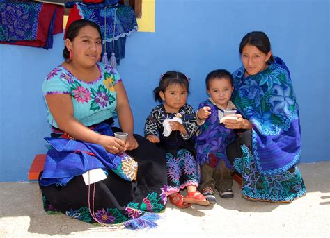 Conoce Más De Nuestra Cultura En El Atlas De Los Pueblos Indígenas De México Secretaría De