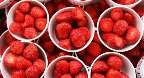 A light dessert idea that is simple enough for kids and fancy enough for party guests. It's Raining Strawberry Festivals Around California | NBC Southern California | Strawberry ...
