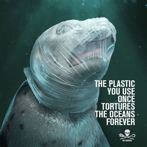 اضرار البلاستيك على البيئة البحرية