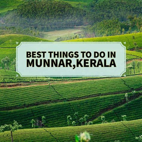 15 Best Things To Do In Munnar Kerala The Ultimate Travel Guide
