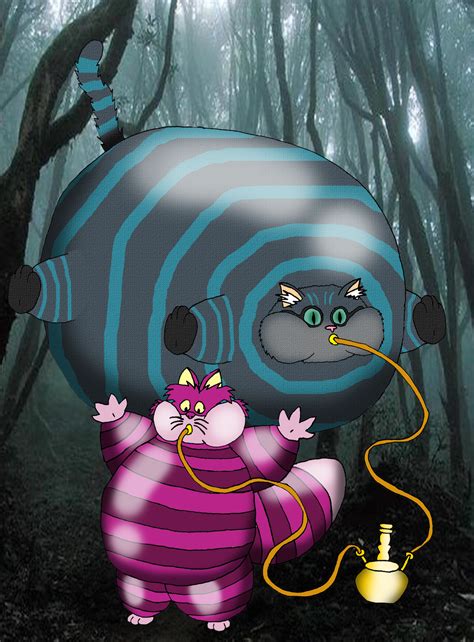 Cheshire Cats Inflation Fun By ToferTheAkita On DeviantArt