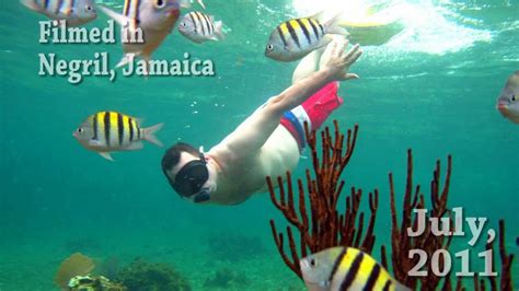 Jamaica Snorkeling YouTube