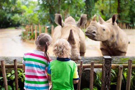 Spend The Day At Wild World Zoo Aquarium And Safari Park Tempe Kia