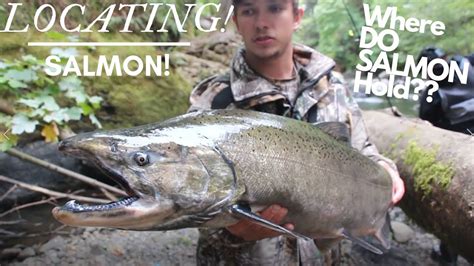 How To Locate Salmon In Rivers The Secret To Salmon Fishing Youtube