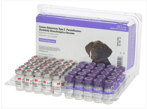It can be a battle for your pup's life that can. vaccinations - PUG DOG CLUB OF AMERICA