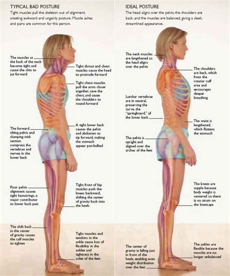Exercises That Will Help To Improve Your Posture