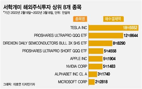 서학개미 전쟁통에도 美 3배 레버리지 간 큰 베팅 네이트 뉴스