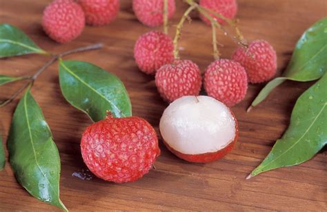 lychees and ackee fruits toxins and their effects owlcation