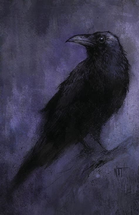Crow Art Bird Art Crow Painting Raven Bird Crows Ravens Dark Souls