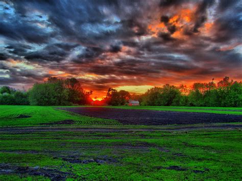 обои Солнечный лучик пейзаж закат солнца природа Трава небо