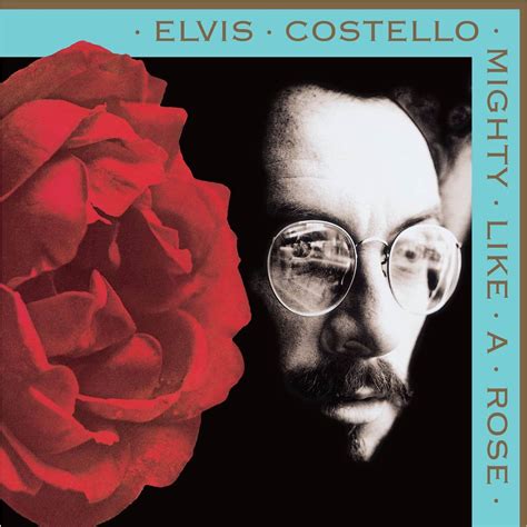 Elvis Costello, "The Other Side Of Summer" « American Songwriter