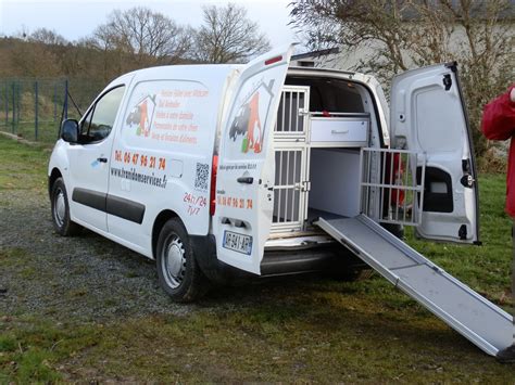 Taxi Et Transport Animalier En Bretagne Tranidom Services