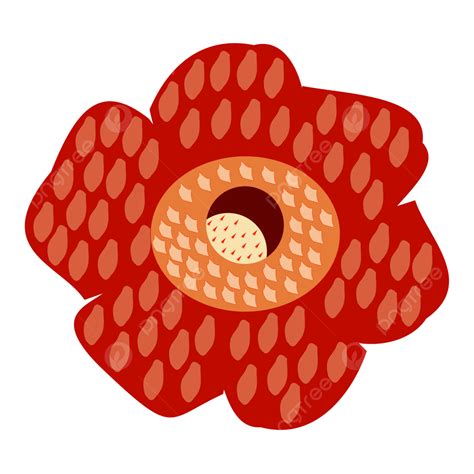 Rafflesia Arnoldi Flor Bunga Png Arnold Raffles Rafflesia Flor Png