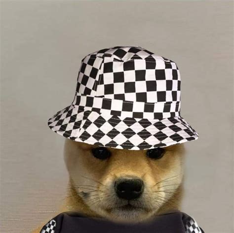 Pin By Olaflewicki On Dog With Hat Dog Icon Dog Images
