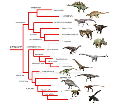Dinosaur Phylogeny By Ntamura On Deviantart