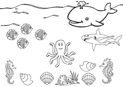 Dibujos De Animales Marinos Para Colorear Mundo Submarino