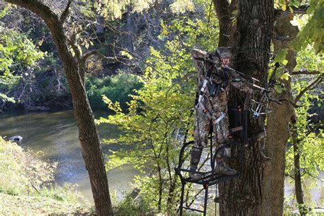 Hanging Tree Stands Trim Sooting Lanes Big Game Tree Stands