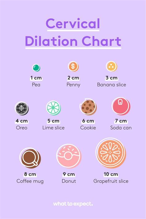 Cervix Dilation Chart The Stages Of Labor In Pictures Artofit