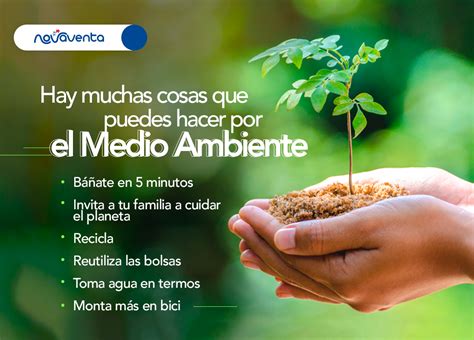 Celebremos El Día Del Medio Ambiente Cuidándolo Y Valorando Todo Lo Que