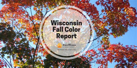 Get Out And Take A Drive To See The Colors Fall Color Report