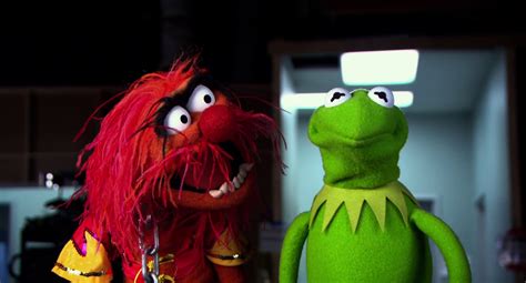 Aww This Is Just How I Look When I Watch Muppets With My Friends